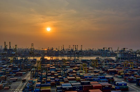 The Role of Cargo in International Trade
