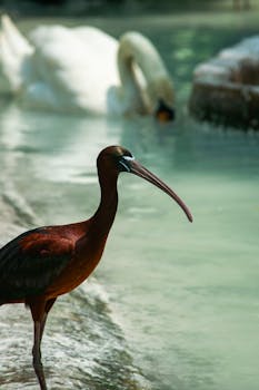 Zoo park